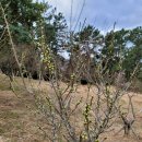 수산자동차공업사 이미지