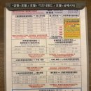 호텔클로버 | [상하이 여행] 노보텔 상하이 클로버 호텔 후기 꿀팁 / 상하이 디즈니 랜드 숙소 추천