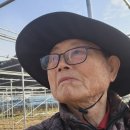 진척농장 이미지