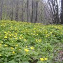 여주-1071 이미지