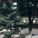 서울상회 이미지