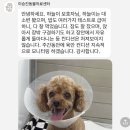 울산 이승진동물병원 이미지