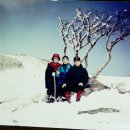 영동초교 이미지