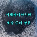 서해대교바다낚시터 Daum카페
