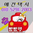 우리고 펫택시 이미지