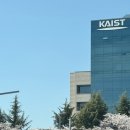 엑스포로4 | 대전 카이스트 벚꽃 주차, 신세계백화점 Art&amp;Science 쇼핑 후기