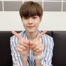 병아리날다 이미지