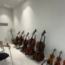 소수집중 바이올린 이미지