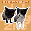 달봉이네 대연점 이미지