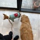 동심동물병원 이미지