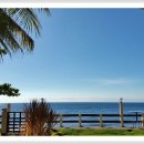 엘시엘로 이미지