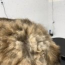 올치유치원 이미지