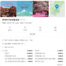 휴애리 동백축제 휴애리자연생활공원 방문 후기