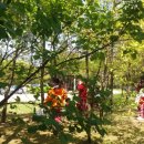 새예지유치원 이미지