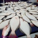 오천항뉴펜션 이미지