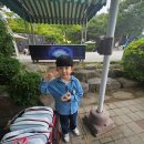 호신태권도 이미지