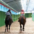 행은목장 이미지