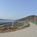 서하2배수펌프장 이미지