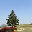 영재 par3 골프랜드 이미지