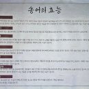 거기 송어비빔회 이미지