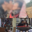 다정다방 셀럽미디어
