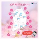 개화 - 서구 달구벌대로337길 5 | 개화