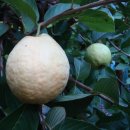 기현2농장 이미지