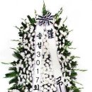 최*호 이미지