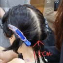 나는 우리집 미용사 이미지