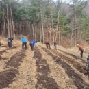 금식농장 이미지