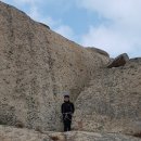 비둘기길 이미지