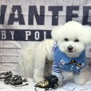 브루하하유치원 이미지