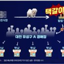 유성동양경매장 이미지