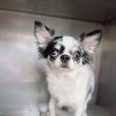 부평파출소 이미지