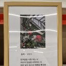 서신작은도서관 이미지