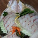 산호회집 이미지