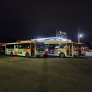 21세기미 네이버블로그