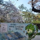 런 서울대입구 | 덕수궁 | 쿠키런:사라진 국가 유산을 찾아서, 벚꽃 구경 후 아이와 가기 좋은 전시 추천