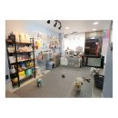 아지다펫 이미지