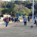 팻 빌리지 이미지