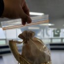 최진석 합기도 무휼관 이미지