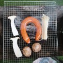 선셋 740 이미지