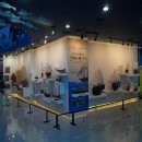 어린이바다과학관 이미지