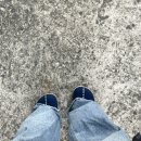 육지와바다 이미지