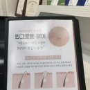 어쥬드