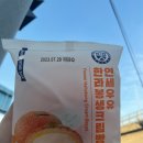 CU 대곡역점 | [CU편의점] 연세 한라봉생크림빵, 나도 먹어봤다 편의점 신상빵 맛도리후기