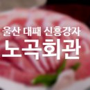 신흥대패