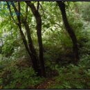 구산면579 이미지