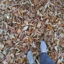 남천1-202 이미지