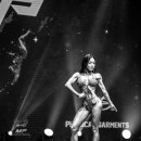 몬스터핏189 이미지